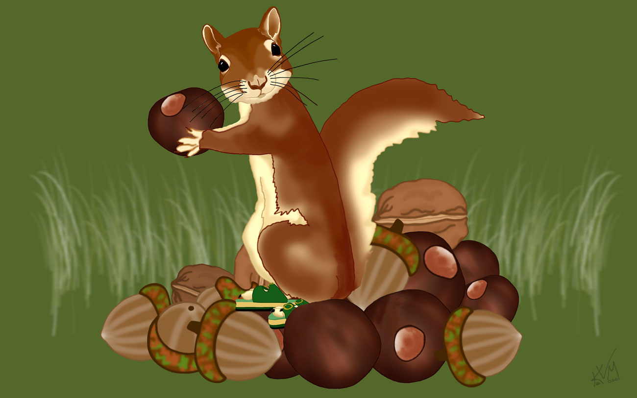 AWwww Nuts! (306)