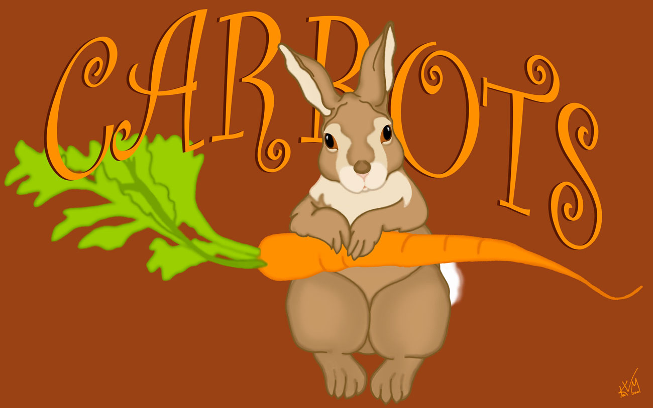 Carrots (321)